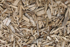 biomass boilers Cambois